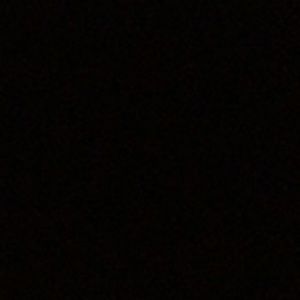 Meet your Posher, Bizzy